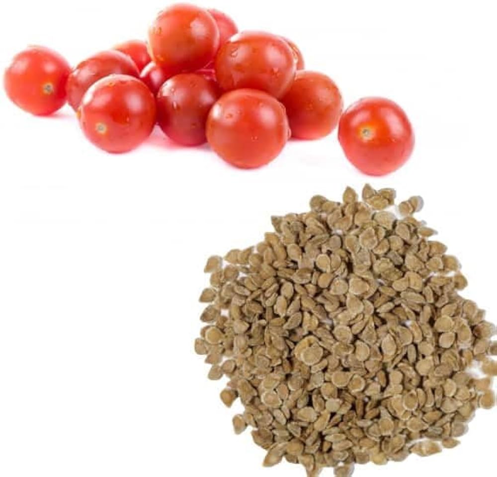Iris HMS-045 Tomato Seed